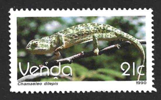 1990 VENDA REPTILES