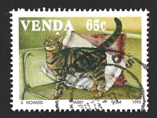 1993 VENDA DOMESTIC CATS