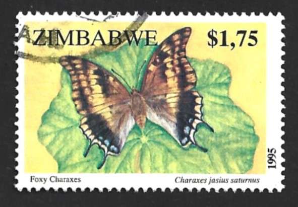 1995 ZIMBABWE INSECTS