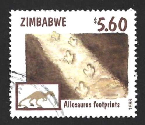 1998 ZIMBABWE FOSSILS