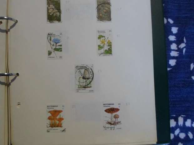 50 X PAGES MIXED WORLD USED STAMPS NOT ALL PAGES SCANNED GOOD VALUE SEE PICS