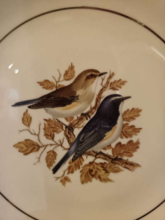 Bird Decorative Plate
