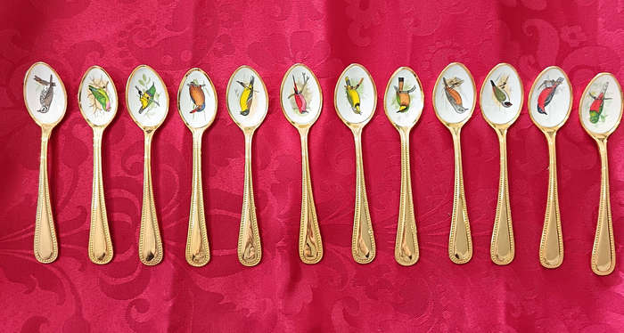 Vintage Gold-Plated Teaspoons with South African Bird Illustrations
