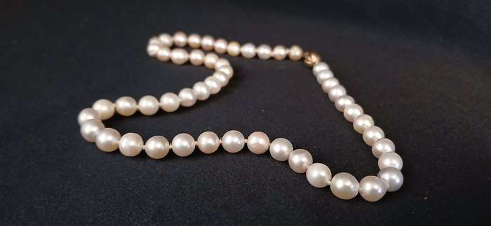 Vintage Freshwater pearls with 9ct gold clasp