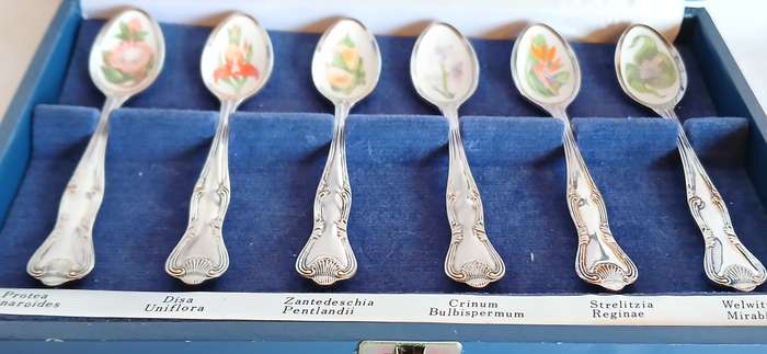 South African Wild Flower spoon collection