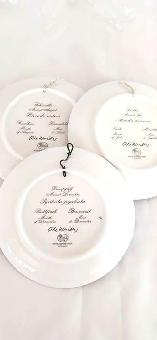 1990s Ole Winther porcelain bird plates
