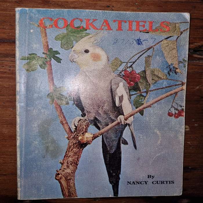 Cockatiels - Nancy Curtis