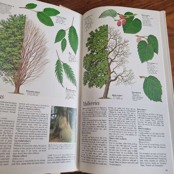 The Illustrated Encyclopedia of Trees - Timbers and Forests of the World