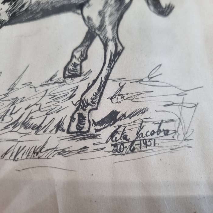 Vintage Framed drawing of a horse - 1951 - Size - 25cm x 20cm