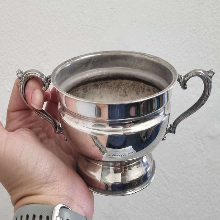 Beautiful Silver Plated Sugar Bowl