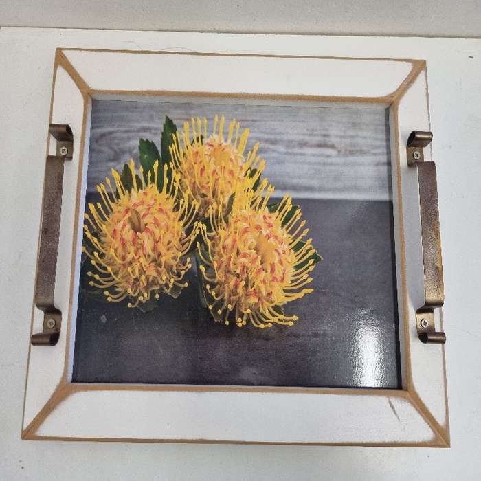 Large Tray - Skinkbord