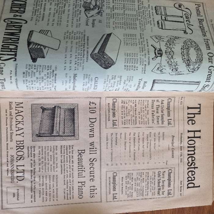 Vintage Magazine - The Homestead - June 1925