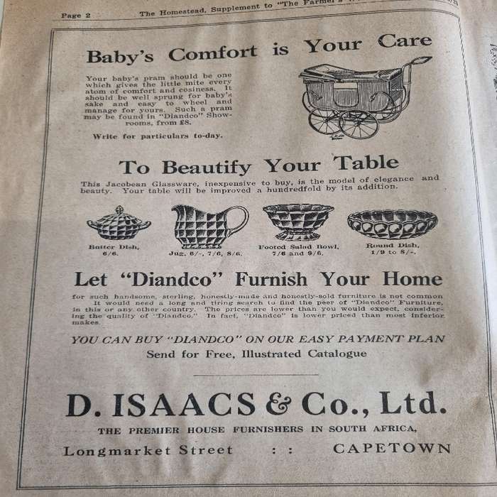 Vintage Magazine - The Homestead - June 1925