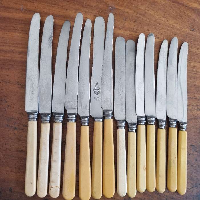 14 x Vintage Bone Handle Knives