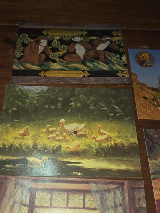 5 x Vintage Post Cards - Unused