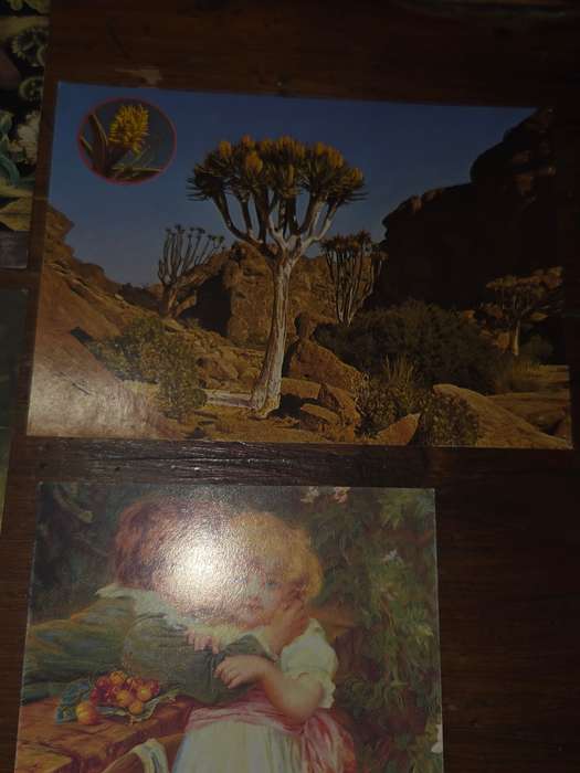 5 x Vintage Post Cards - Unused