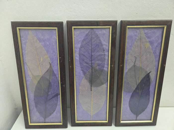 3 x Framed art - leaf detail Beautiful wooden frames Size - 37cm x 15cm each - R120 for the set of 3