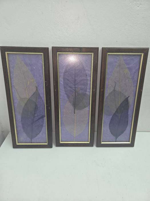 3 x Framed art - leaf detail Beautiful wooden frames Size - 37cm x 15cm each - R120 for the set of 3