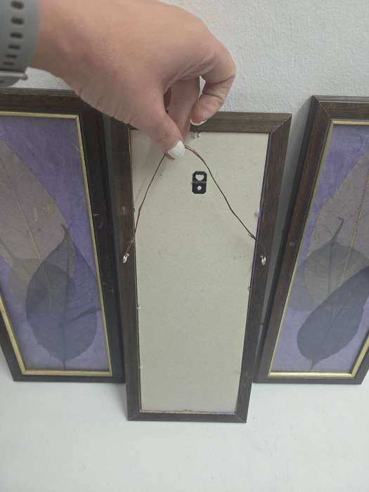 3 x Framed art - leaf detail Beautiful wooden frames Size - 37cm x 15cm each - R120 for the set of 3