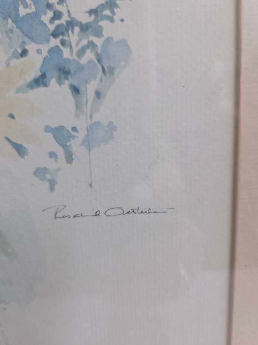 Framed print by artist Rosalind Oesterle - floral water color print Size - 34cm x 29cm