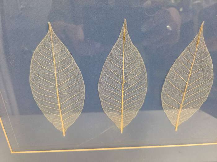 Large Framed decor piece with leaf detail - in beautiful wooden frame Size - 45cm x 36cm