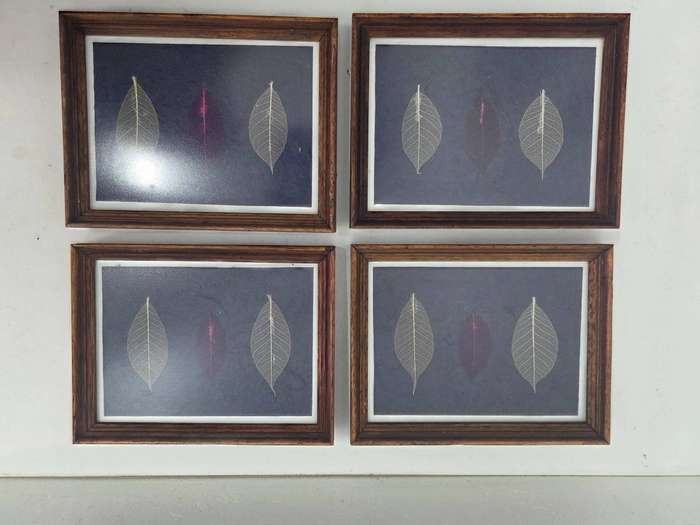 4 x Framed art with leaf detail in wooden frames - each measures 22cm x 17cm - R120 for the set of 4