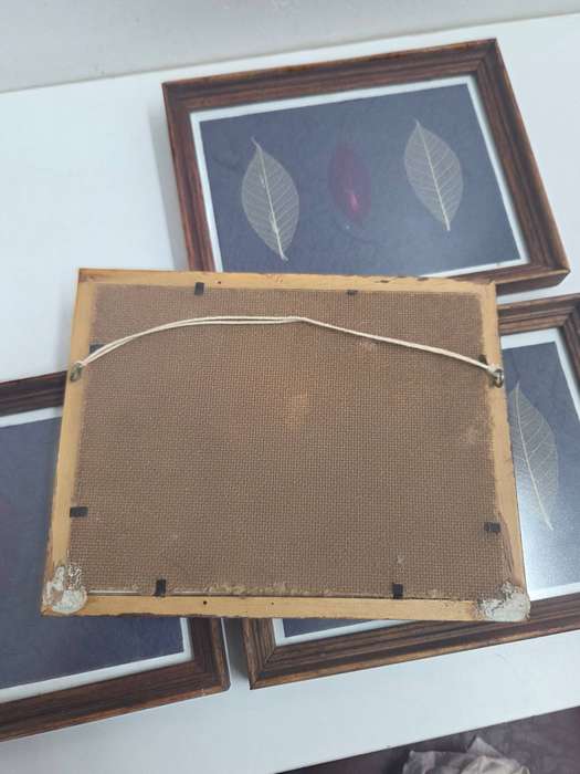 4 x Framed art with leaf detail in wooden frames - each measures 22cm x 17cm - R120 for the set of 4