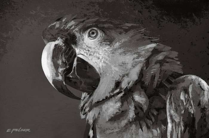 ART: Painting Parrot