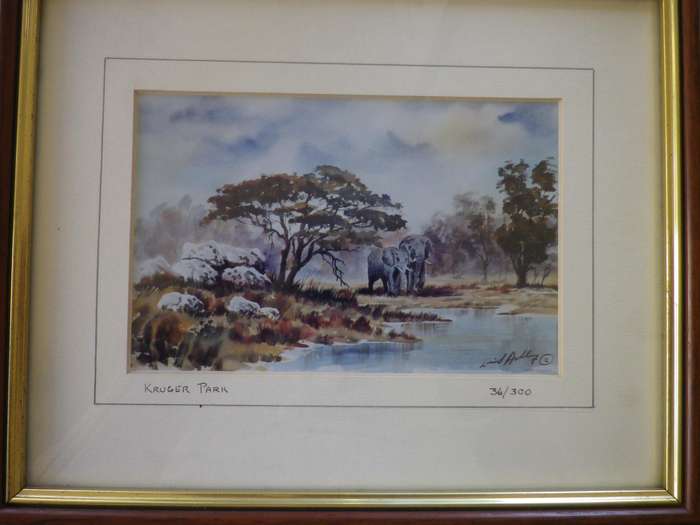 PAIR KRUGER NATIONAL PARK FRAMED Limited Edition SIGNED PRINTS 27x 22cm