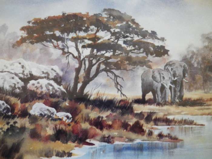 PAIR KRUGER NATIONAL PARK FRAMED Limited Edition SIGNED PRINTS 27x 22cm