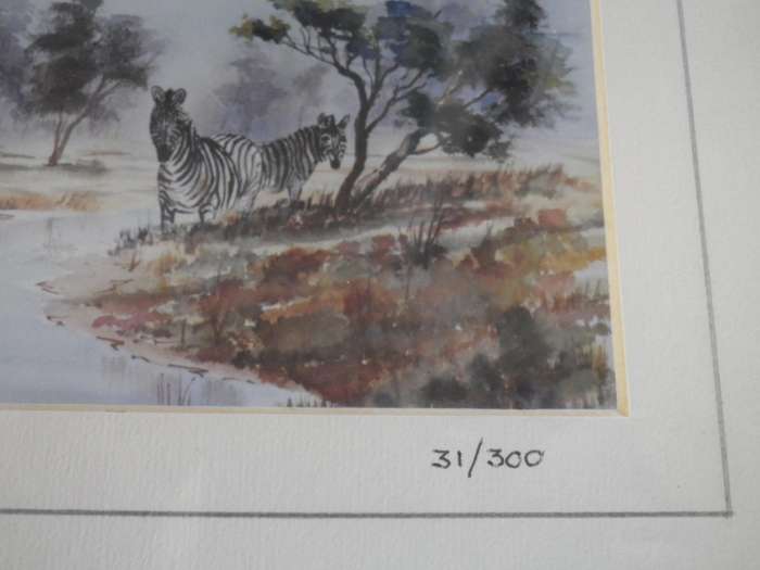 PAIR KRUGER NATIONAL PARK FRAMED Limited Edition SIGNED PRINTS 27x 22cm