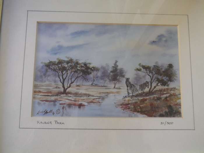 PAIR KRUGER NATIONAL PARK FRAMED Limited Edition SIGNED PRINTS 27x 22cm
