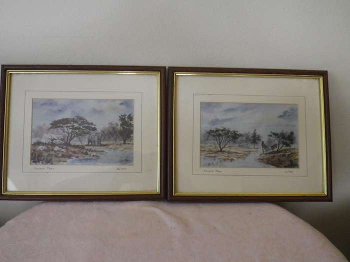 PAIR KRUGER NATIONAL PARK FRAMED Limited Edition SIGNED PRINTS 27x 22cm