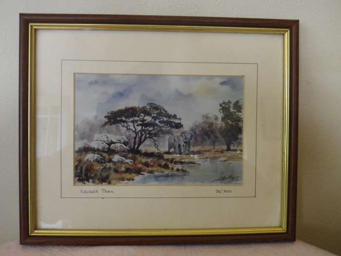 PAIR KRUGER NATIONAL PARK FRAMED Limited Edition SIGNED PRINTS 27x 22cm