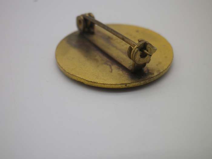 For Home and Country - WW2 Womens Institute Enamel & Metal Pin Badge or brooch 2.5cm