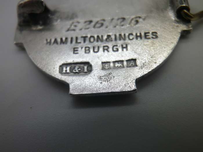Very Rare Hallmarked Silver Registered Fever Nurse, Scotland badge/necklace. Birmingham 1956