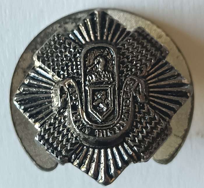 Cape Town Highlanders buttonhole badge 4 of 4