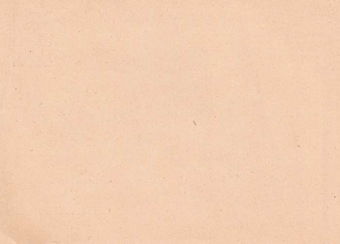 DEUTSCHES REICH - Adolf HITLER - Postcard - Poskaart - UNUSED