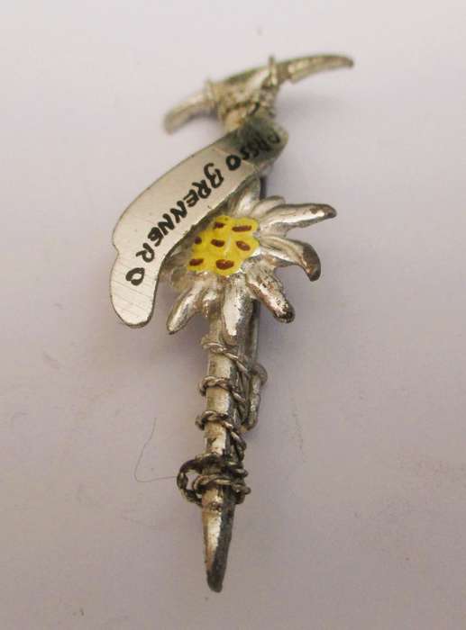 VINTAGE Austrian Metal Enamel Alpine Souvenir Hat Pin ~Passo Grenner ~ Floral ~ Ice pic, rope 45mm