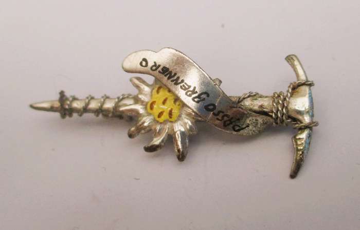 VINTAGE Austrian Metal Enamel Alpine Souvenir Hat Pin ~Passo Grenner ~ Floral ~ Ice pic, rope 45mm