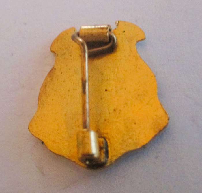 Vintage Brisbane QLD Coat of Arms enamel souvenir badge