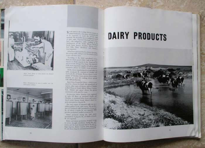1967-68 Industrial Profile of South Africa, Frank de Freitas Hardcover, 144p