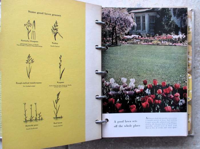 Vintage 1966 Better Homes and Gardens New Garden Book Spiral Bound