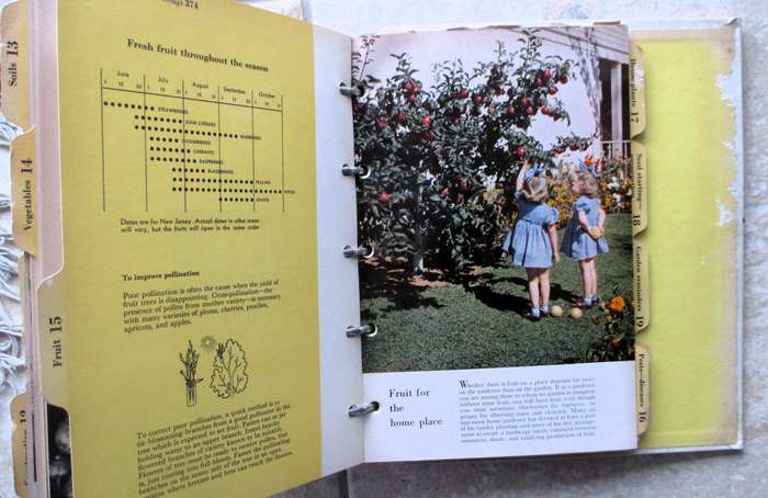 Vintage 1966 Better Homes and Gardens New Garden Book Spiral Bound