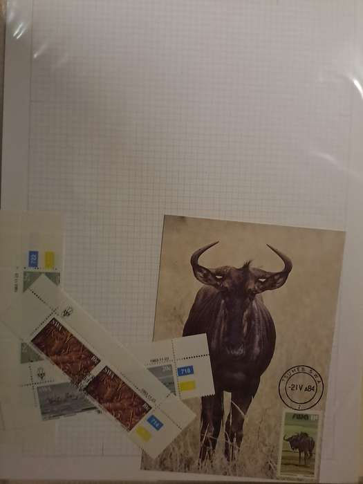 South West Africa - Between  No 403 - 493