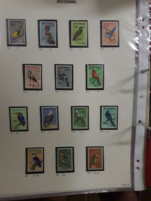 Botswana Collection - Clearance sale