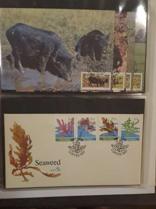 Transkei - FDC