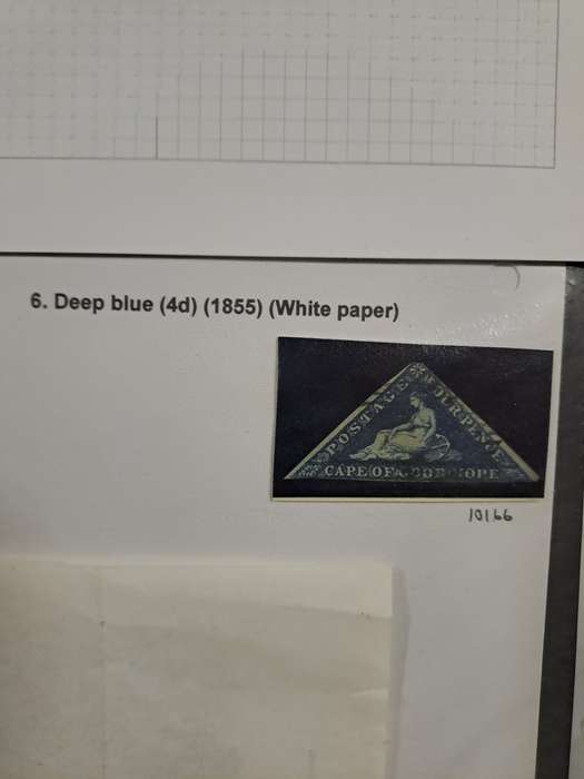 COG - 6 Deep blue - Clearance sale
