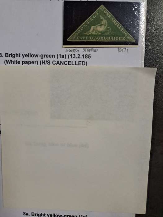 COG No 8 Bright Yellow green - Clearance sale