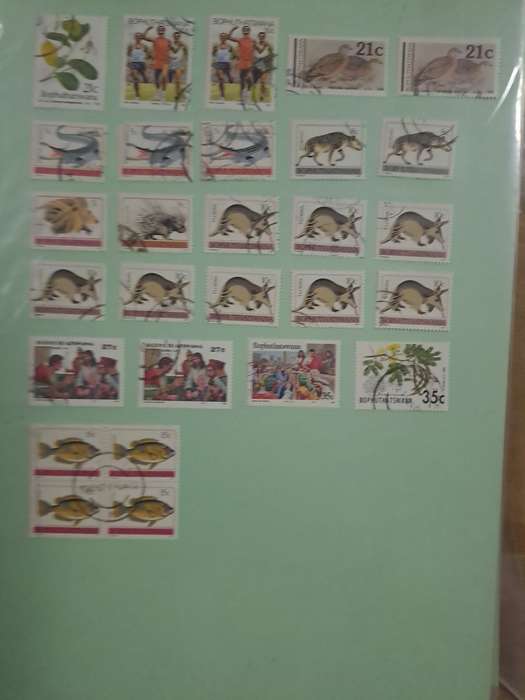 Bophuthatswana
